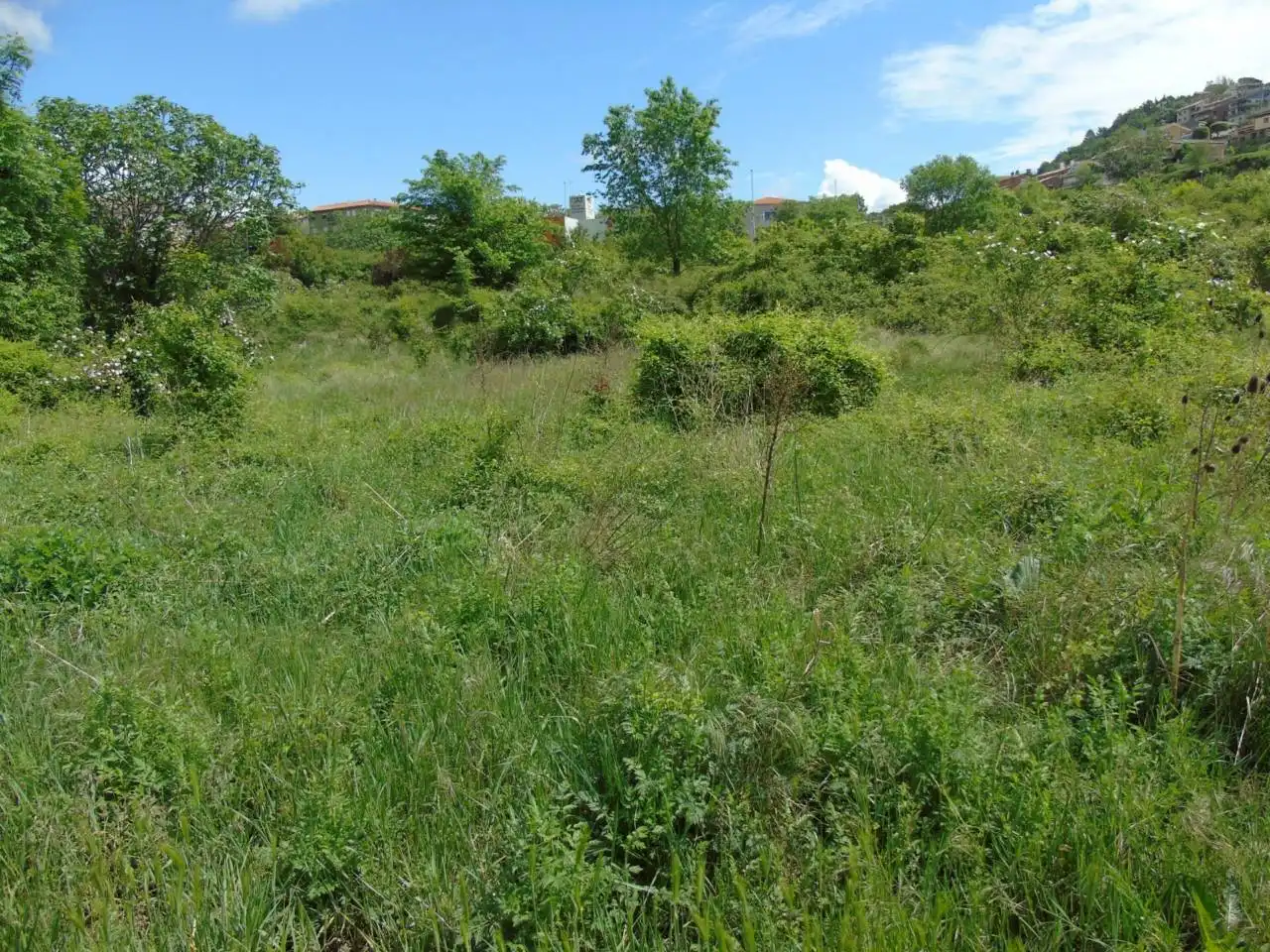 Terreno rustico in vendita a Berga, imagen 5