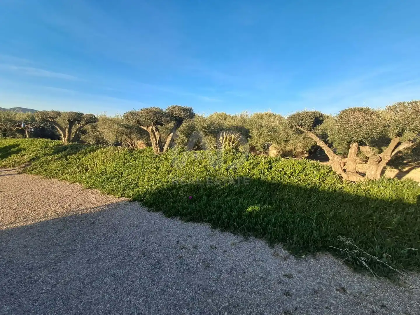 Casa o chalet en venta en Lorca con Terraza