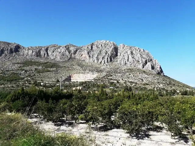 Terreny rústic en venda a Ondara, imagen 9