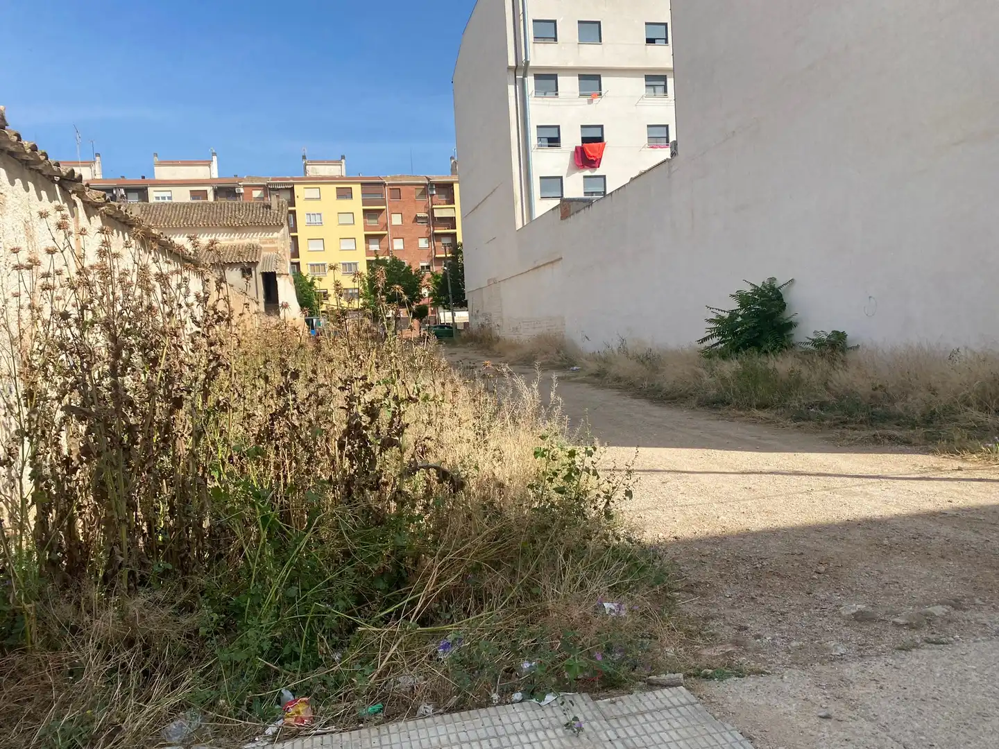 Rural land for sale in Ps de la Estación, imagen 7