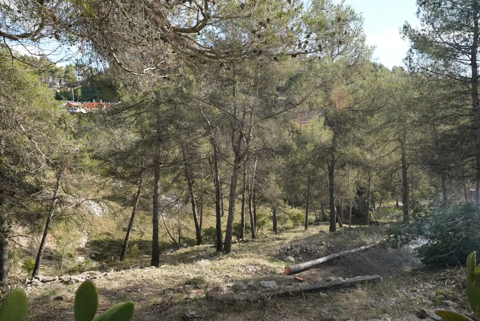 Terreny residencial en venda a Carrer Solei, imagen 5
