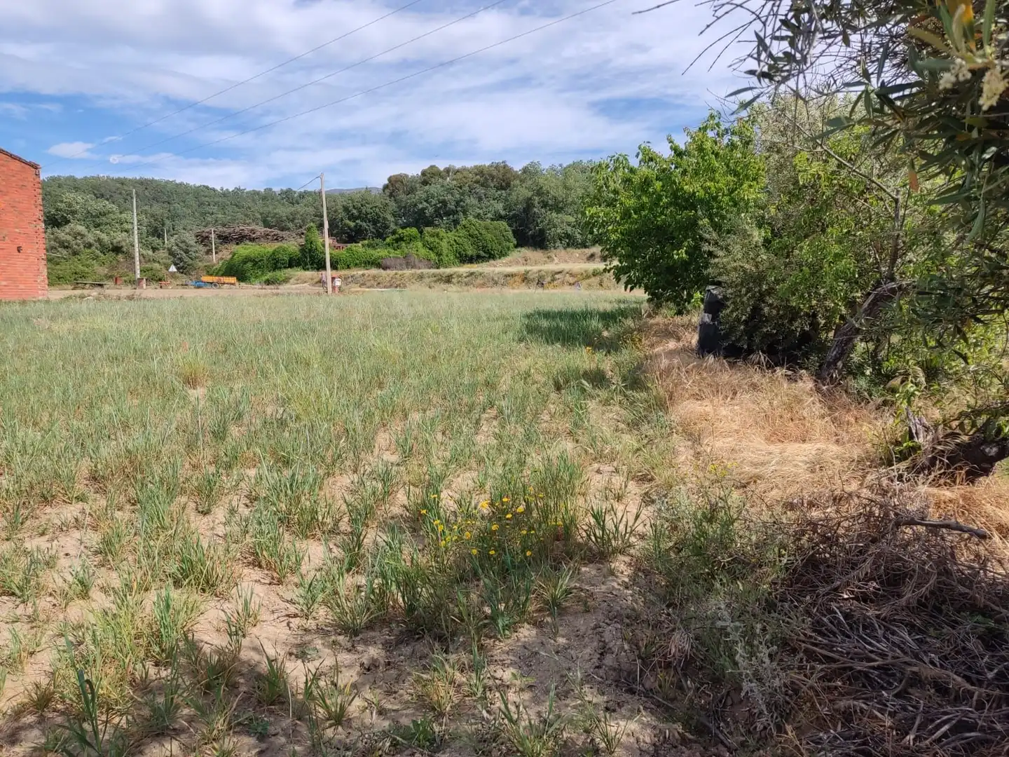 Terreni e lotti in vendita a Jarandilla de la Vera, imagen 12