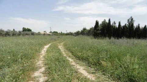 VENTA DE SUELO EN UBEDA, immagine 3