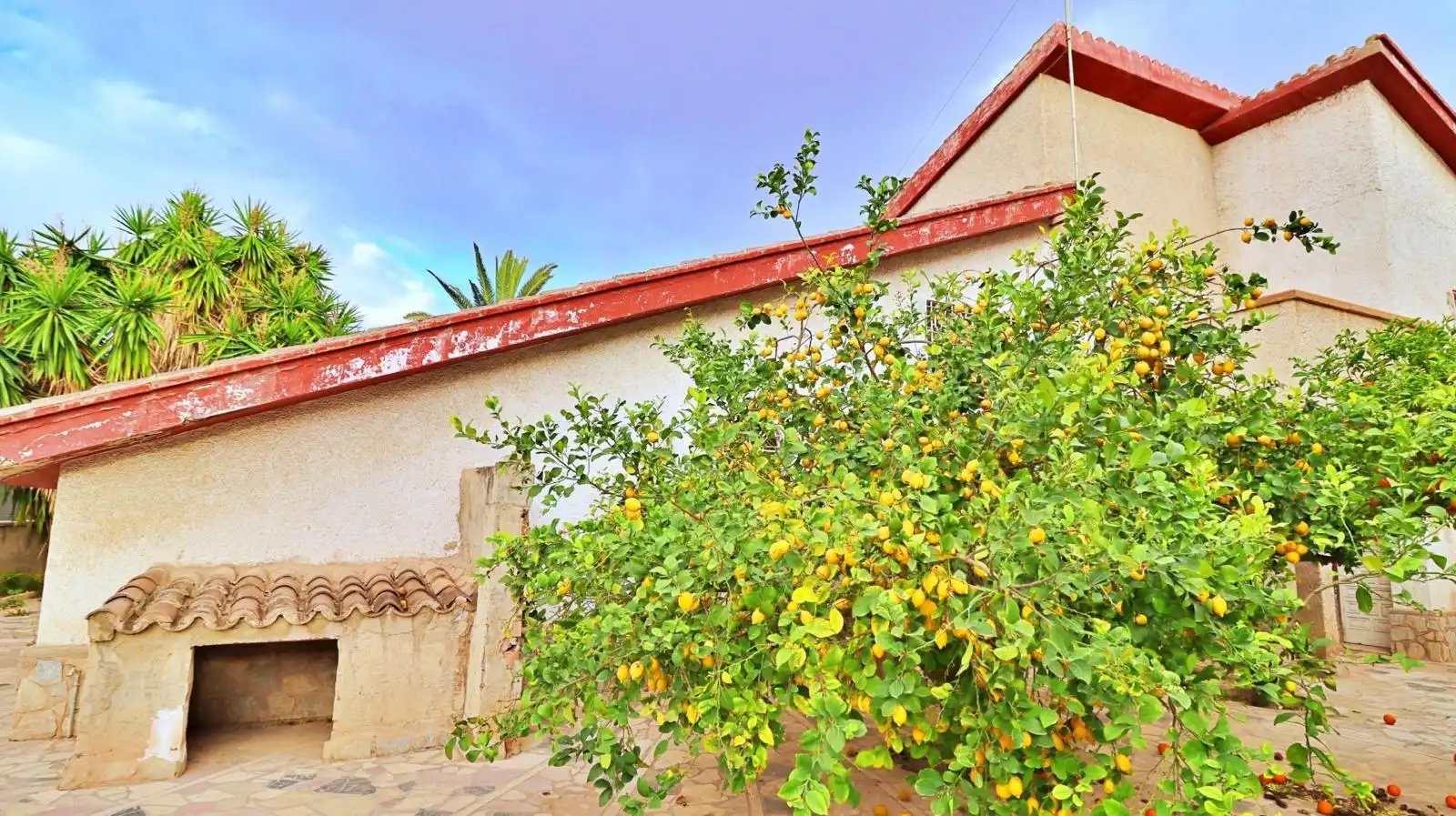 Vista exterior de Casa o xalet en venda en Elche / Elx amb Terrassa