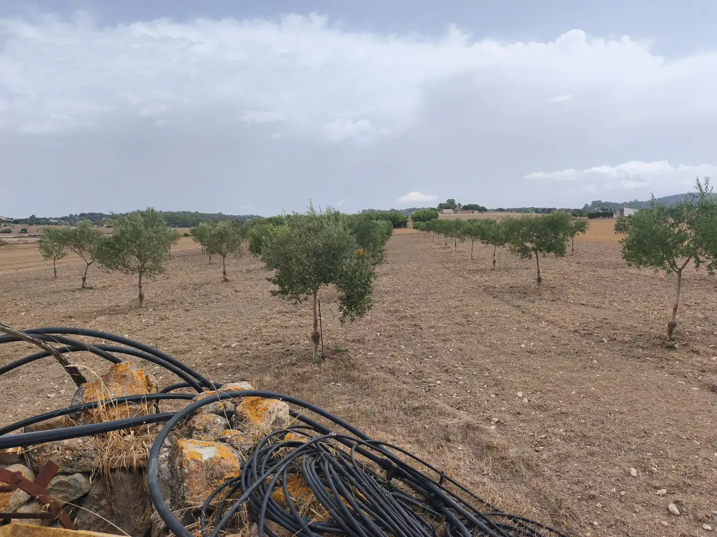Terreno residenziale in vendita a Montuïri, imagen 5