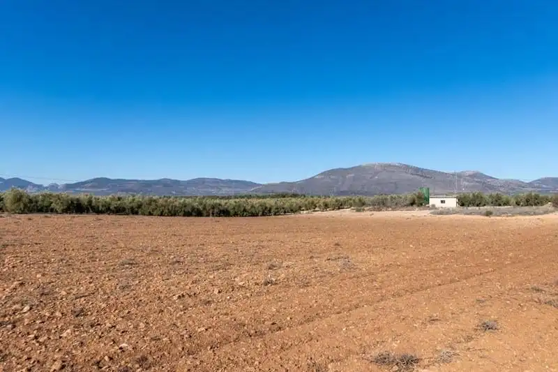 Casa rústica en venda a PAGO CORTIJO DE LAS MONJAS POLIGONO 1 PARCELA 193, imagen 38