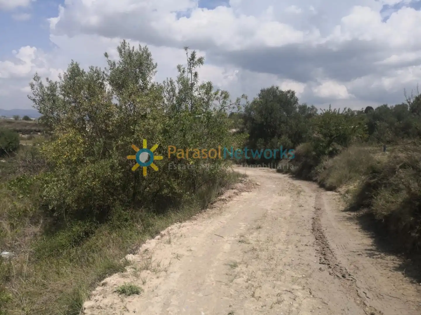 Terreny rústic en venda a Castelló de Rugat, imagen 16