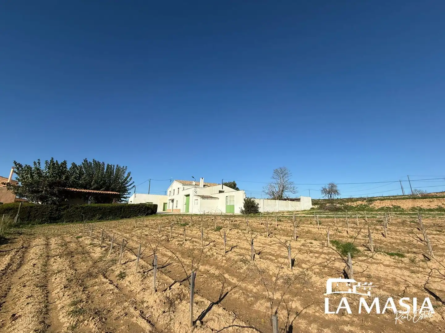 Vista exterior de Finca rústica en venda en Olèrdola amb Jardí privat i Traster