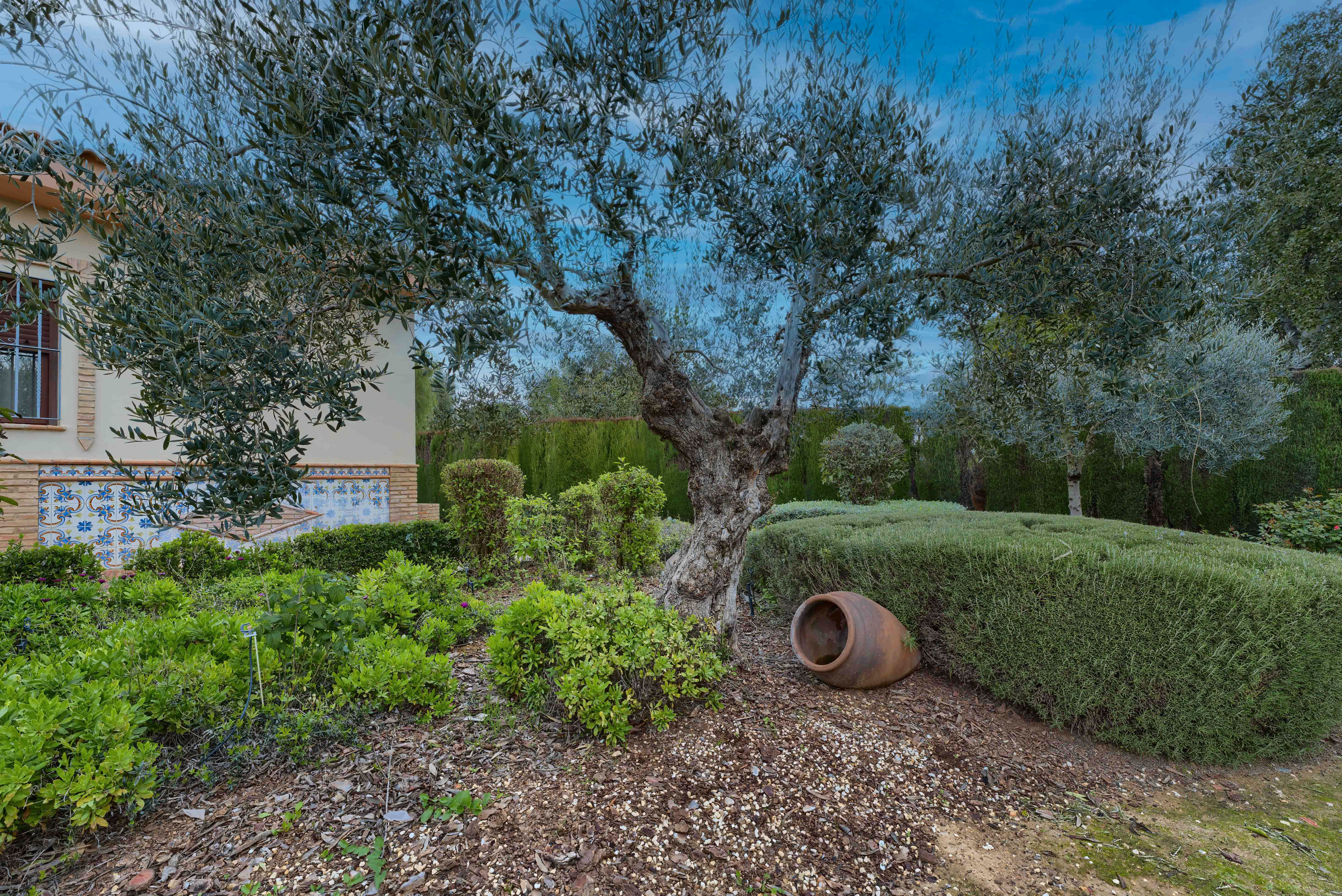 Jardí de Finca rústica en venda en Pilas amb Jardí privat, Terrassa i Piscina