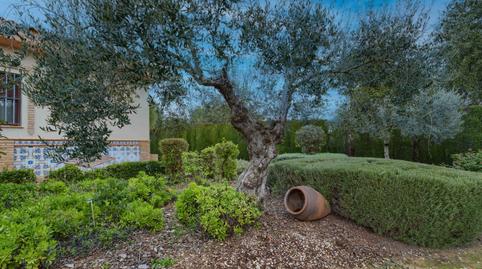 Foto 3 de Finca rústica en venda a  Carretera Villamanrique,la Vereda 27, Pilas, Sevilla