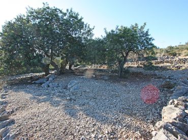 Terrenys i solars en venda a Benimeli