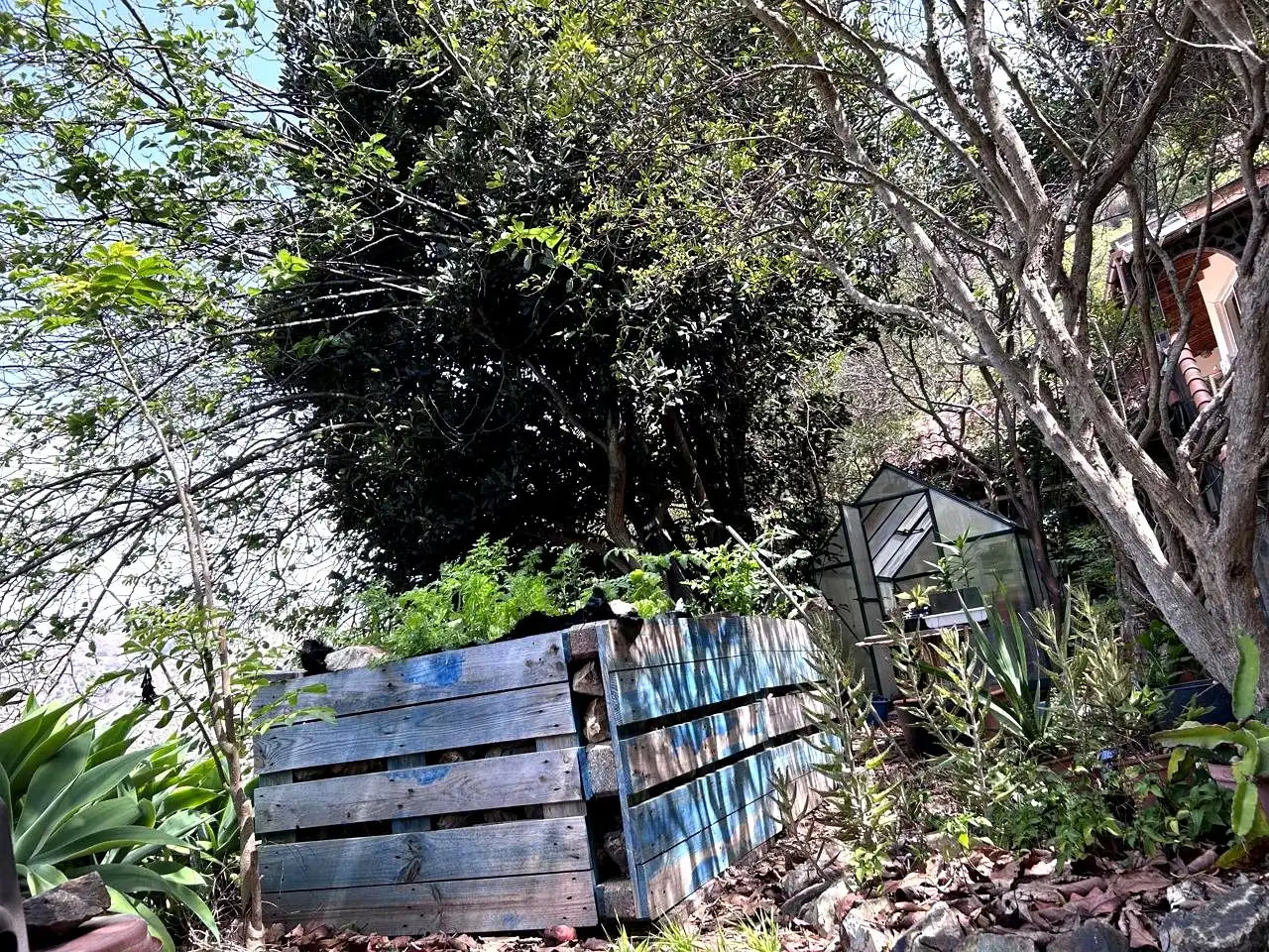 Jardín de Finca rústica en venta en Vallehermoso con Aire acondicionado, Calefacción y Jardín privado