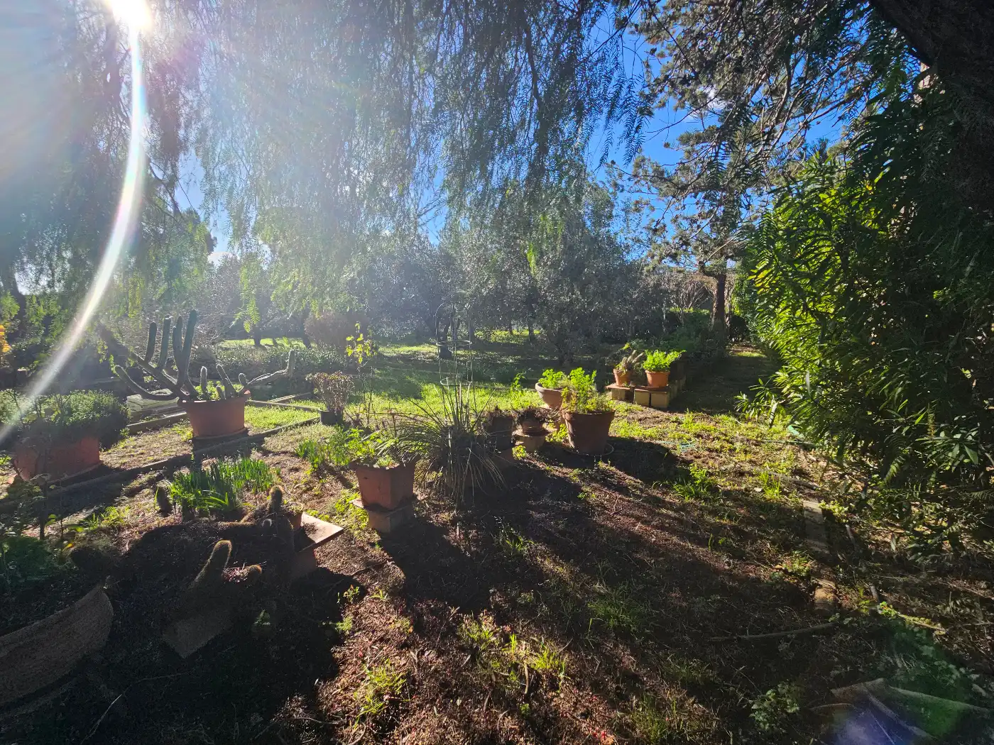 Garten von Country house zum Verkauf in Reus mit Klimaanlage, Privatgarten und Terrasse