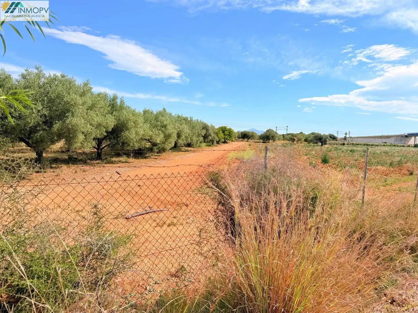 Terreny rústic en venda a Las Atalayas - Urmi - Cerro de Mar, imagen 2