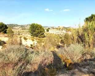Land for sale in Mula