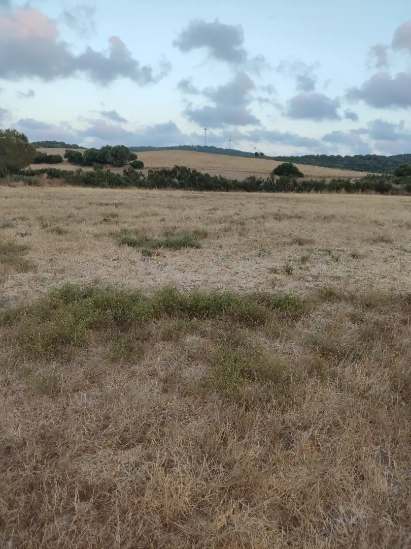 Land for sale in Vejer de la Frontera