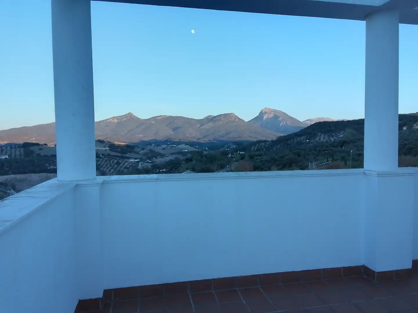 Vista exterior de Casa o chalet en venta en Prado del Rey con Jardín privado, Terraza y Amueblado