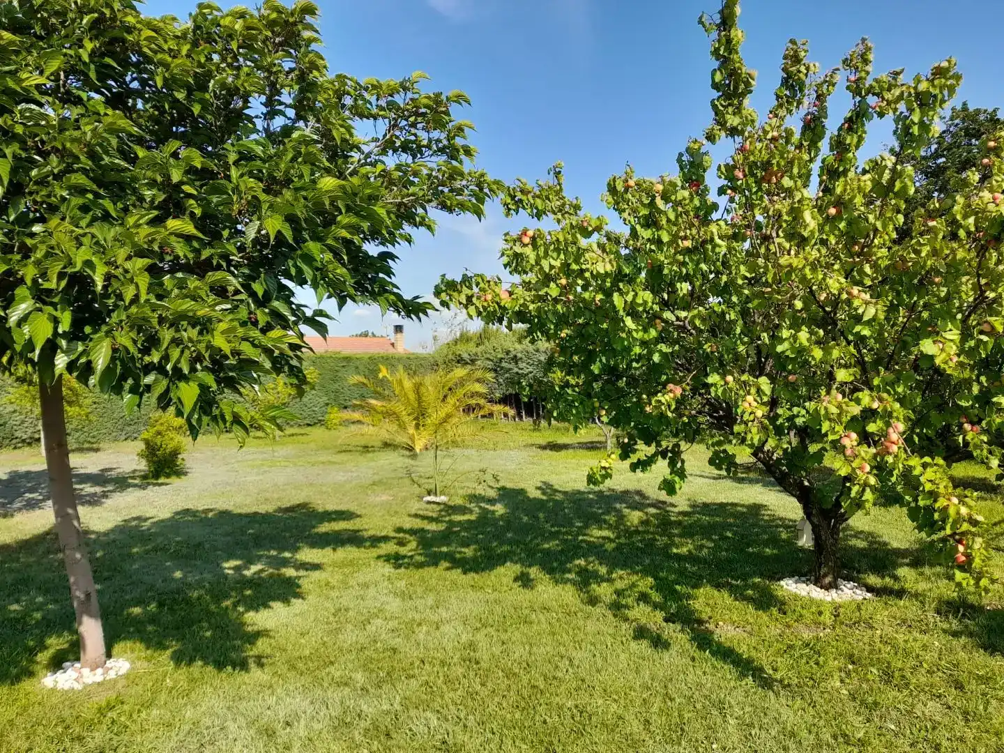 Country house zum Verkauf in Corella