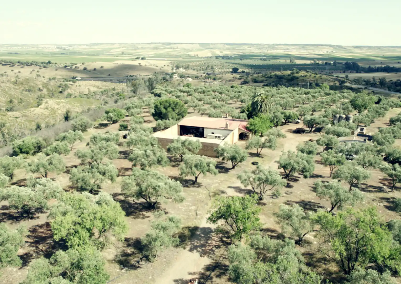 Finca rústica en venta en La Palma del Condado con Jardín privado, Terraza y Trastero