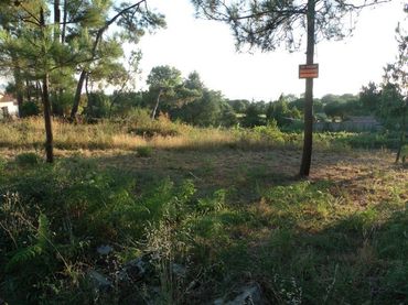 Terreno residenziale in vendita a Boiro