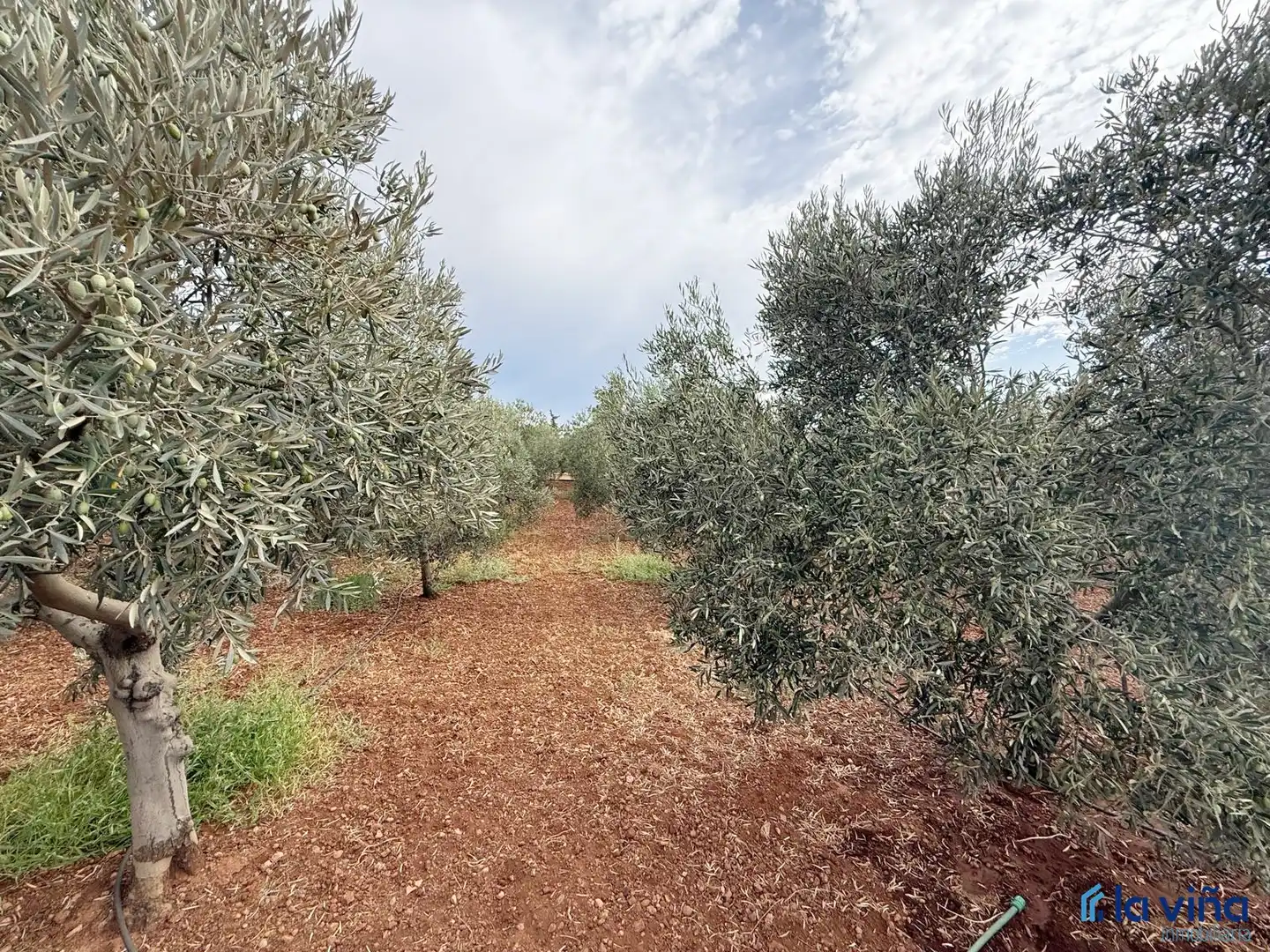 Terreni e lotti in vendita a Bobadilla - Bobadilla Estación - La Joya, imagen 3