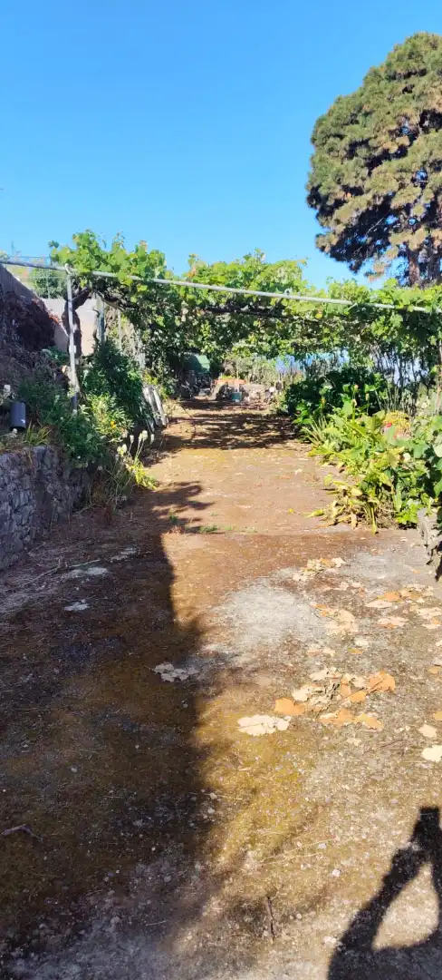 Terreno rústico en venta en Calle los Castaṅos 34, imagen 5
