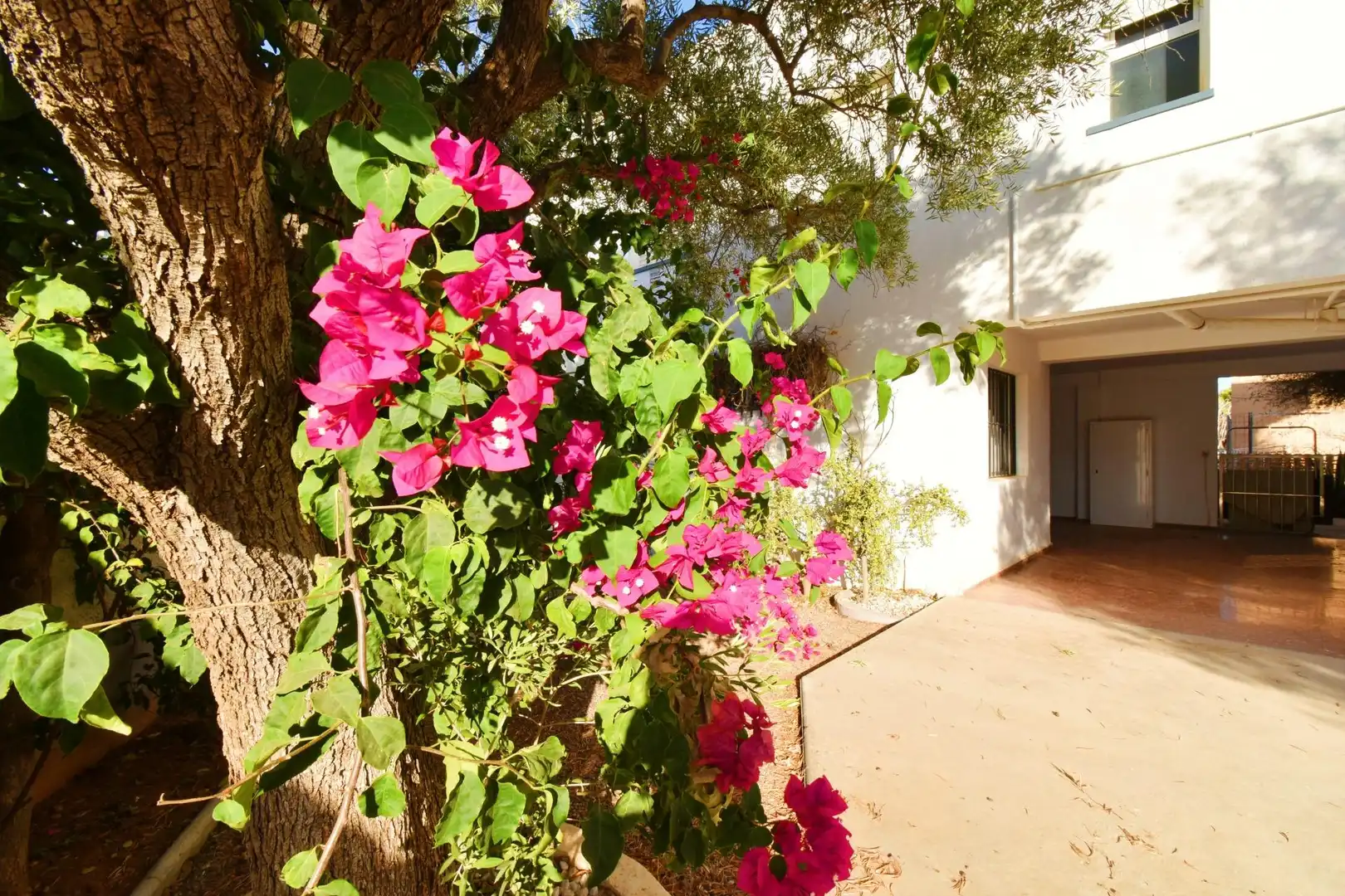 Jardín de Casa o chalet en venta en El Ejido