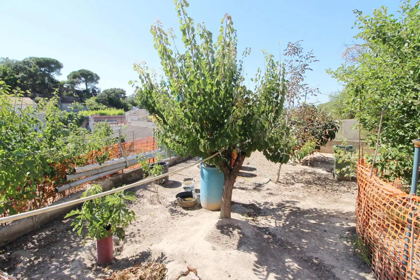 Haus mit Garten zum Verkauf in Montbarbat, imagen 41