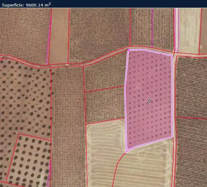 Rural land for sale in Valdepeñas, imagen 16