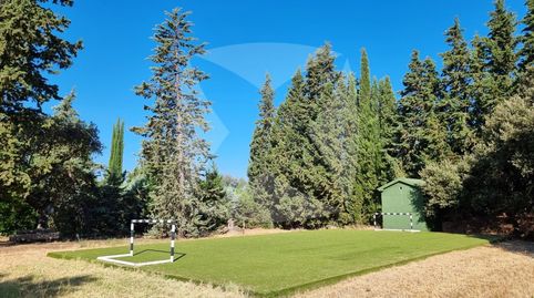 CHALET INDEPENDIENTE CON PISCINA Y JARDÍN. ZONA EL MANANTÍO, imatge 5