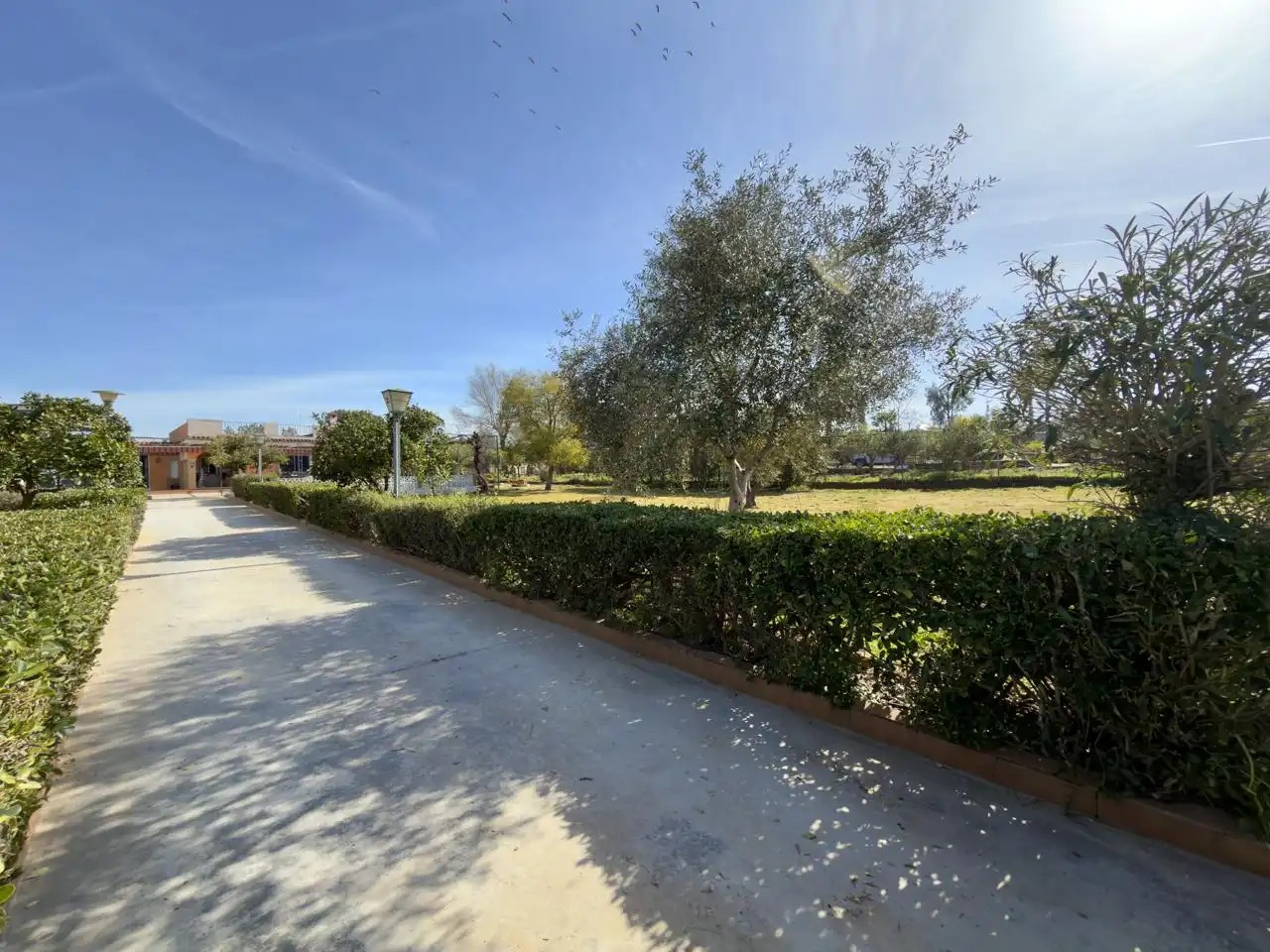 Finca rústica en venda en Alcalá de Guadaira