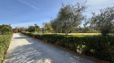 Photo 3 of Country homes for sale in Venus, Oromana, Alcalá de Guadaira