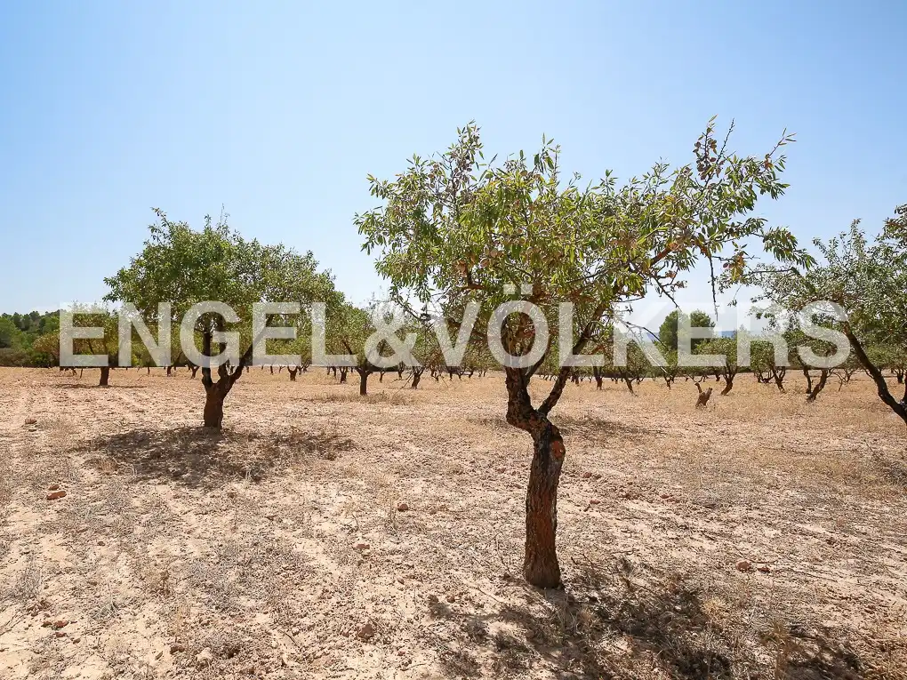 Finca rústica en venda a Requena