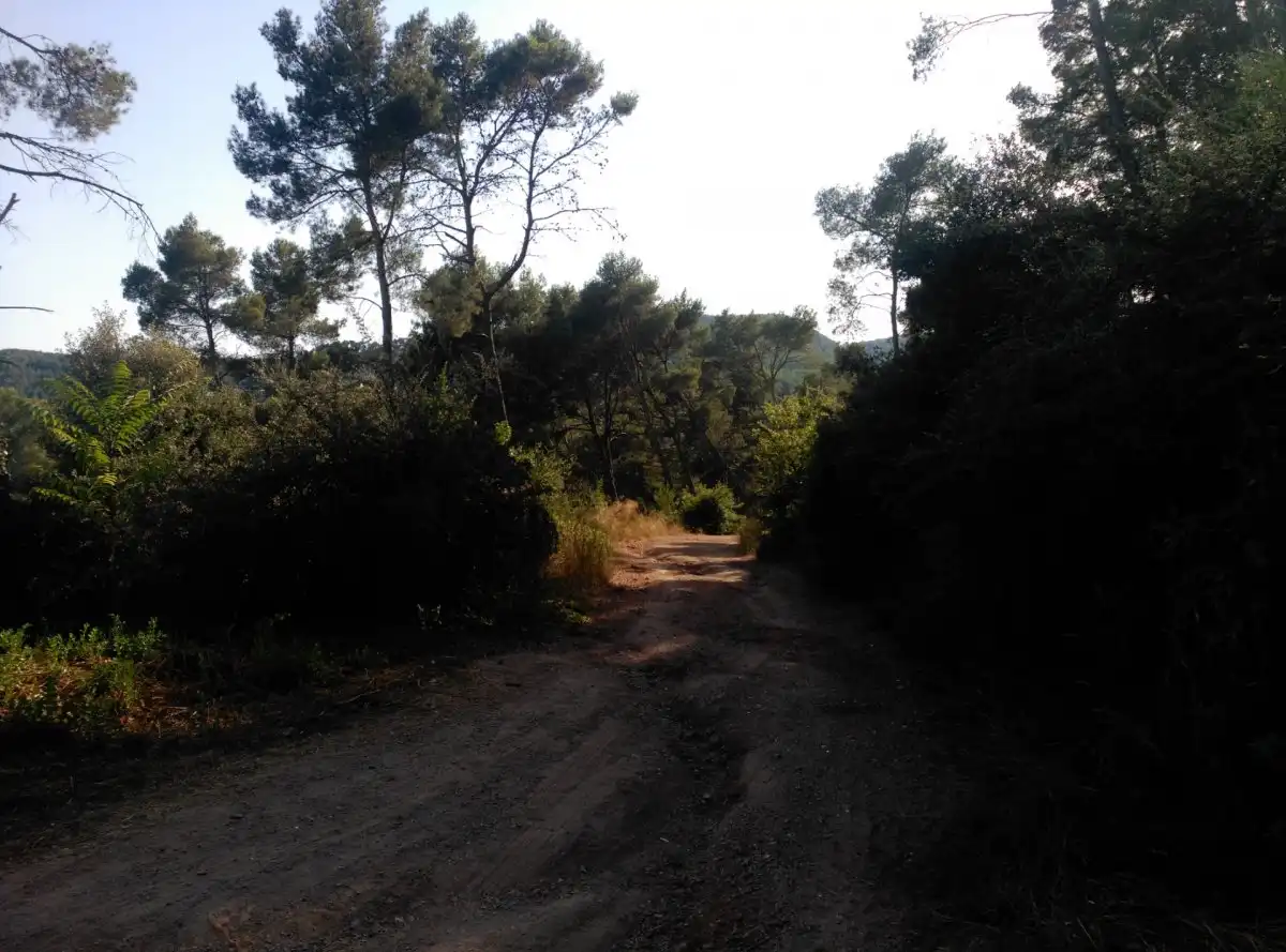 Terreni e lotti in vendita a Corbera de Llobregat, imagen 25