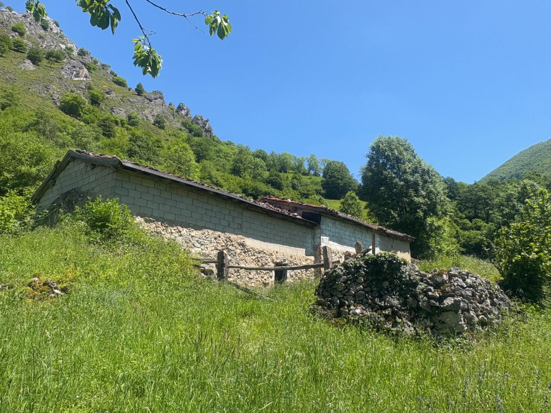 Vista exterior de Casa o xalet en venda en Aller