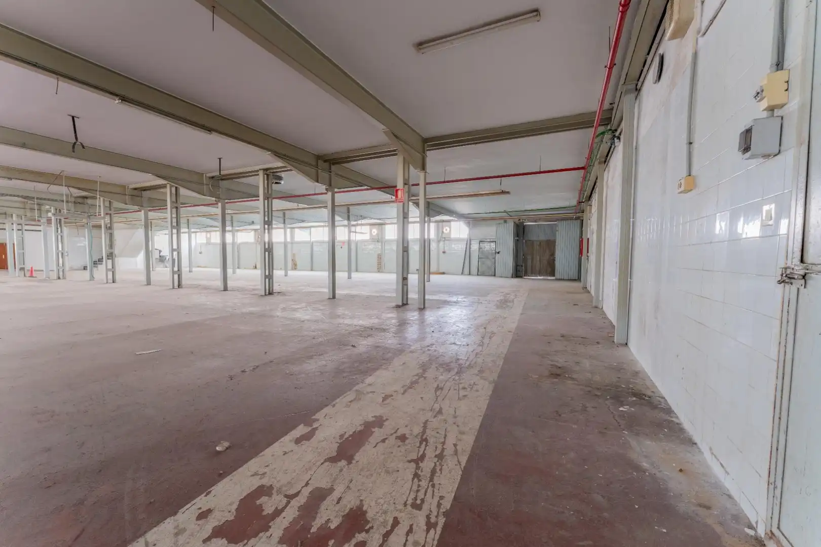 Industrial buildings for rent in Elche / Elx