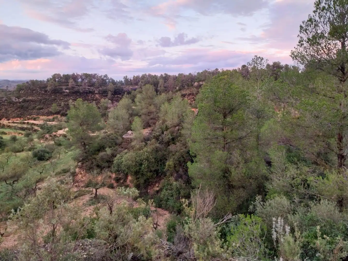 Terrain rustique à vendre à Vinebre, imagen 18