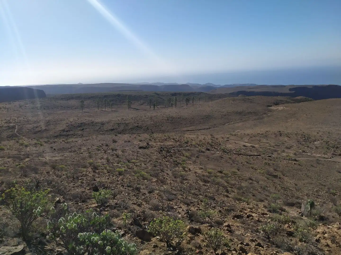 Terreno rustico in vendita a El Molino de Viento 7, imagen 13
