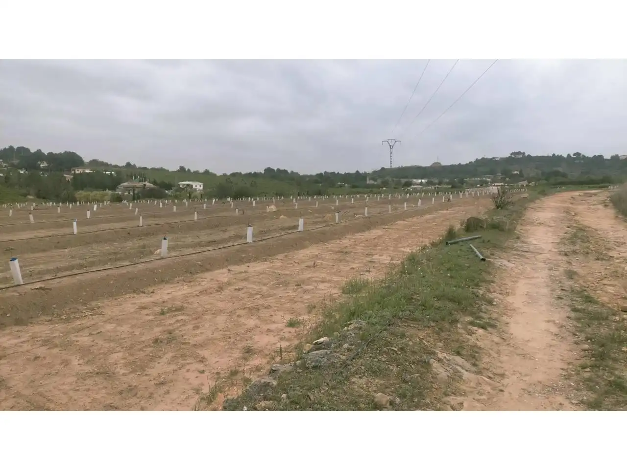 Terreno rustico in vendita a Calle XARCOS SECS, imagen 10