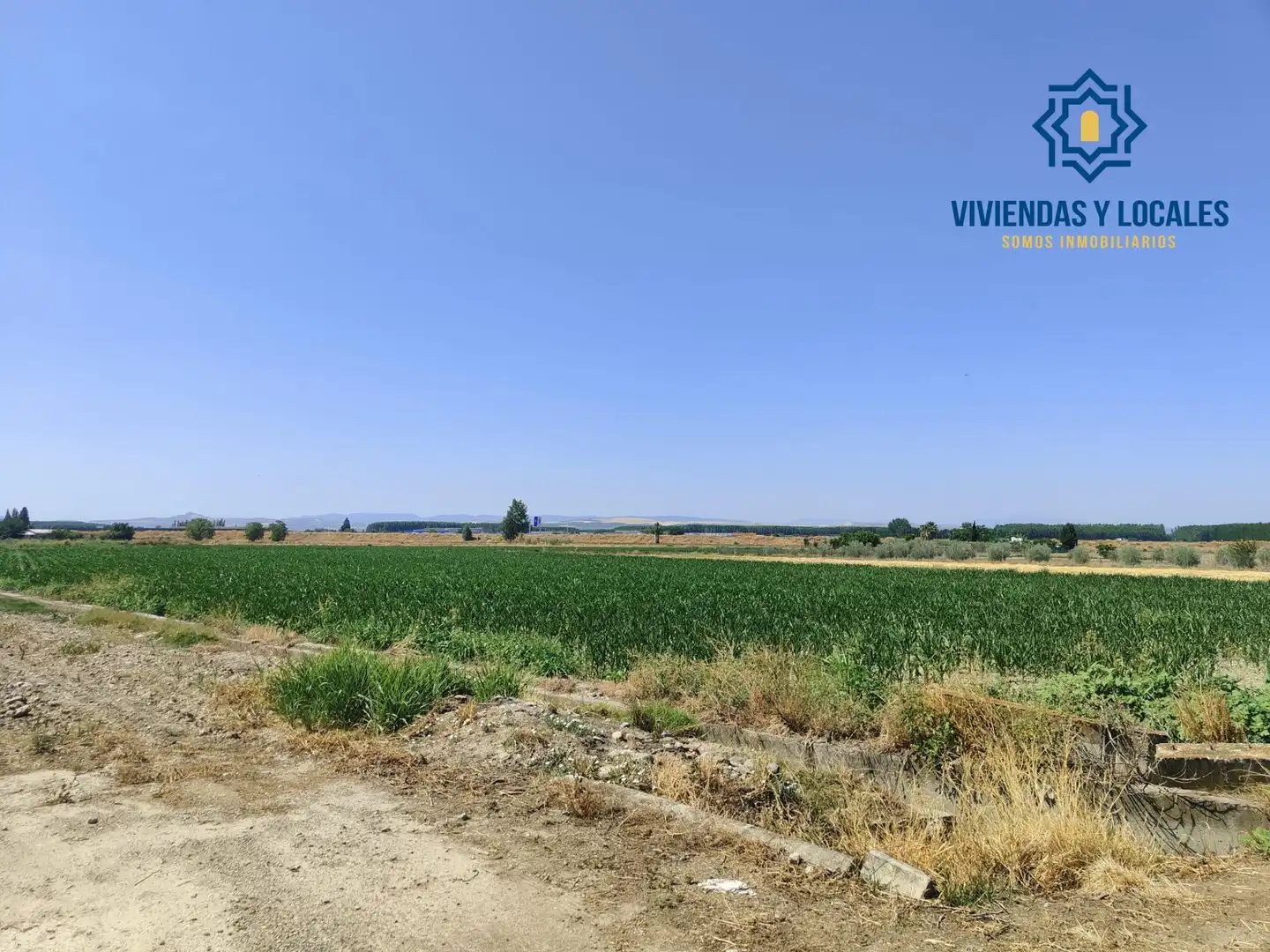 Terreni e lotti in vendita a Carretera Carretera de Pinos Puente, imagen 2