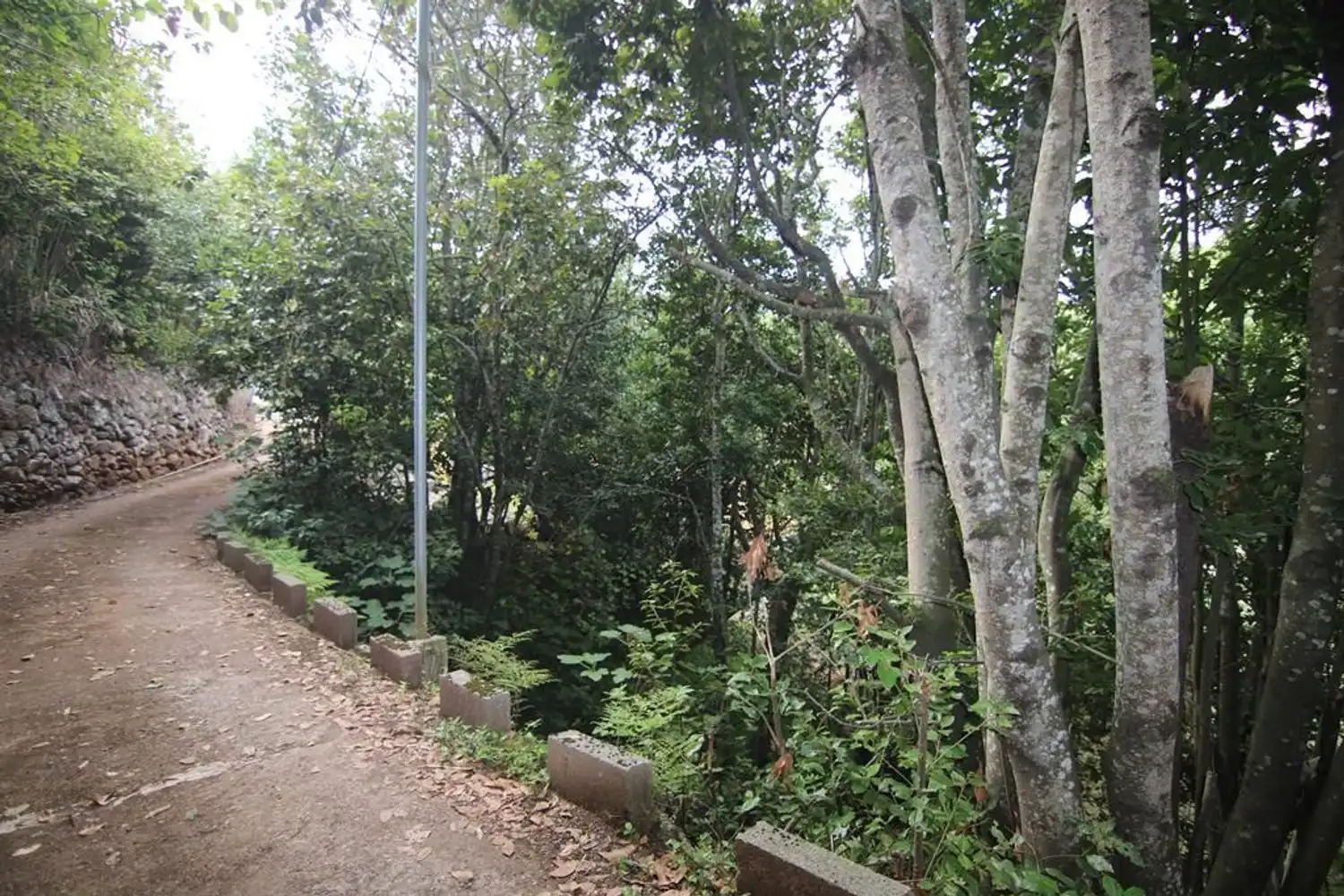 Terreno en venta en Valleseco