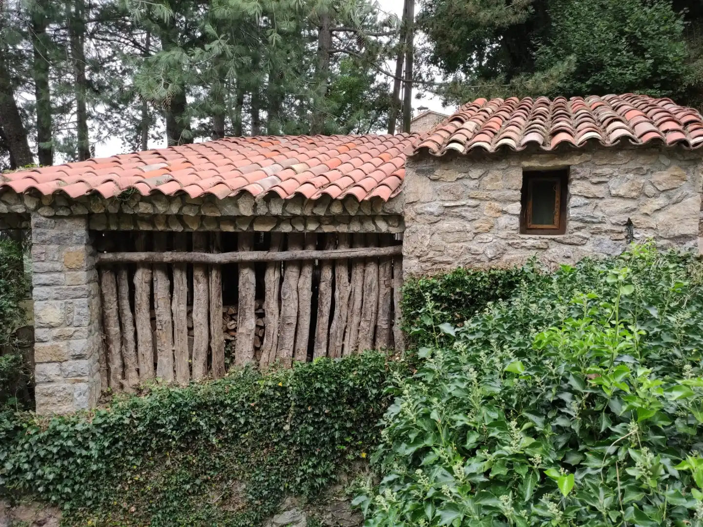Exterior view of Country homes for sale in Ribes de Freser  with Heating, Private garden and Parquet flooring