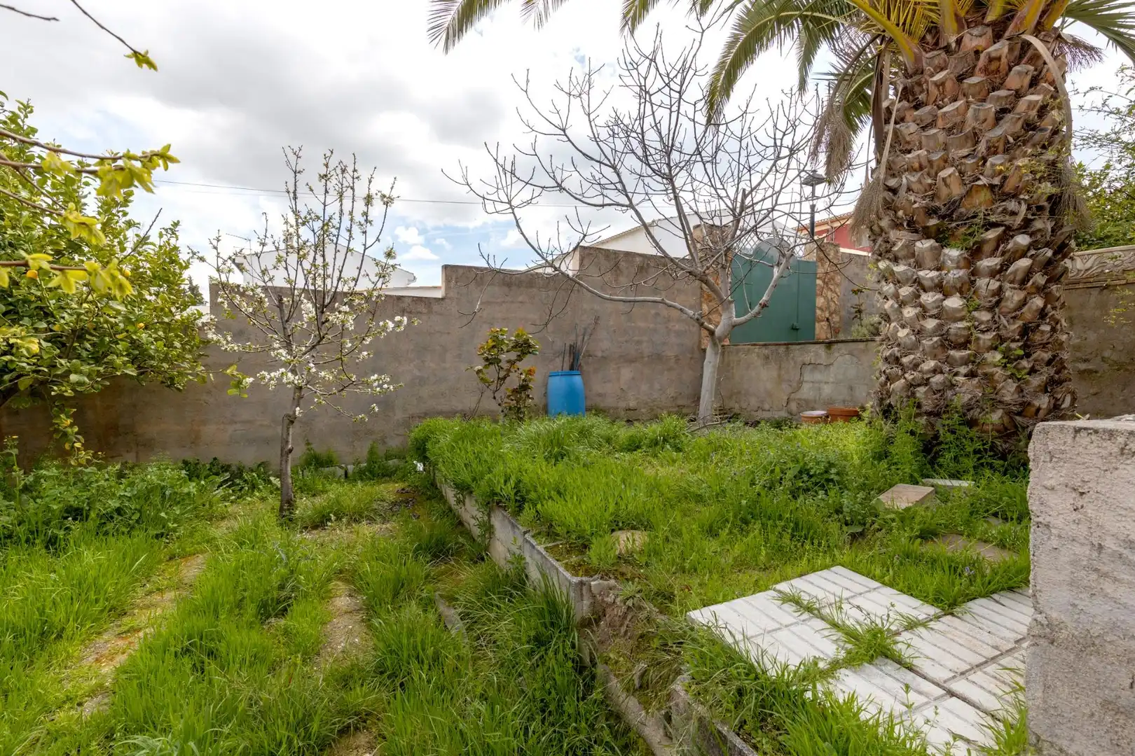 Jardín de Casa o chalet en venta en Escúzar con Terraza y Piscina