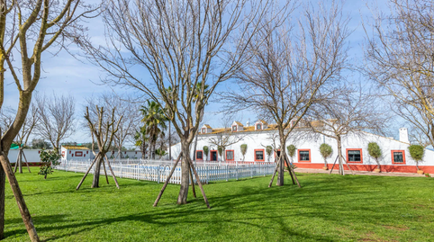 Foto 4 de Finca rústica en venta en Carretera Guadajoz , Carmona, Sevilla