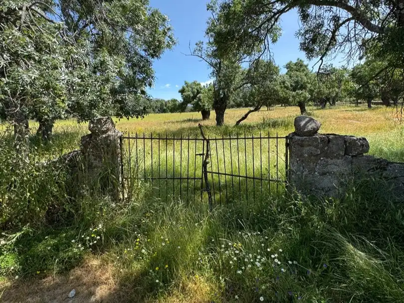Grundstücke zur Miete in Collado Mediano