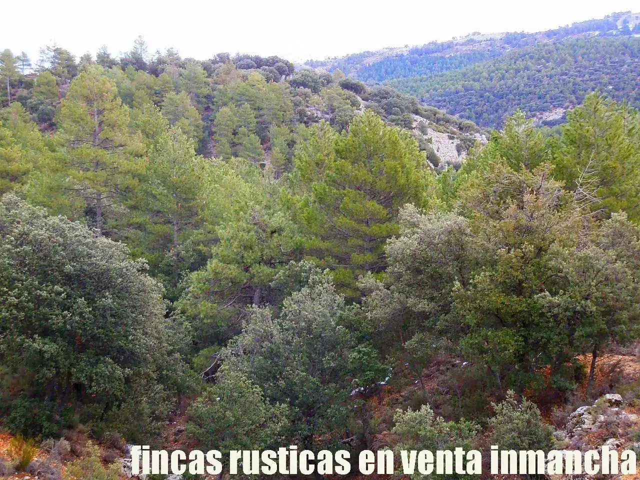 Terreni e lotti in vendita a Nerpio, imagen 19
