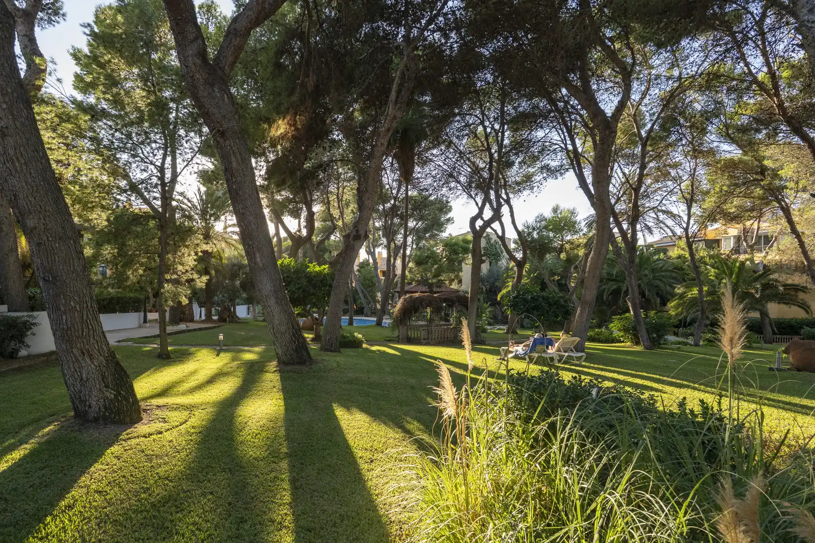 Apartamento con terraza en venta en Santa Ponça, imagen 4