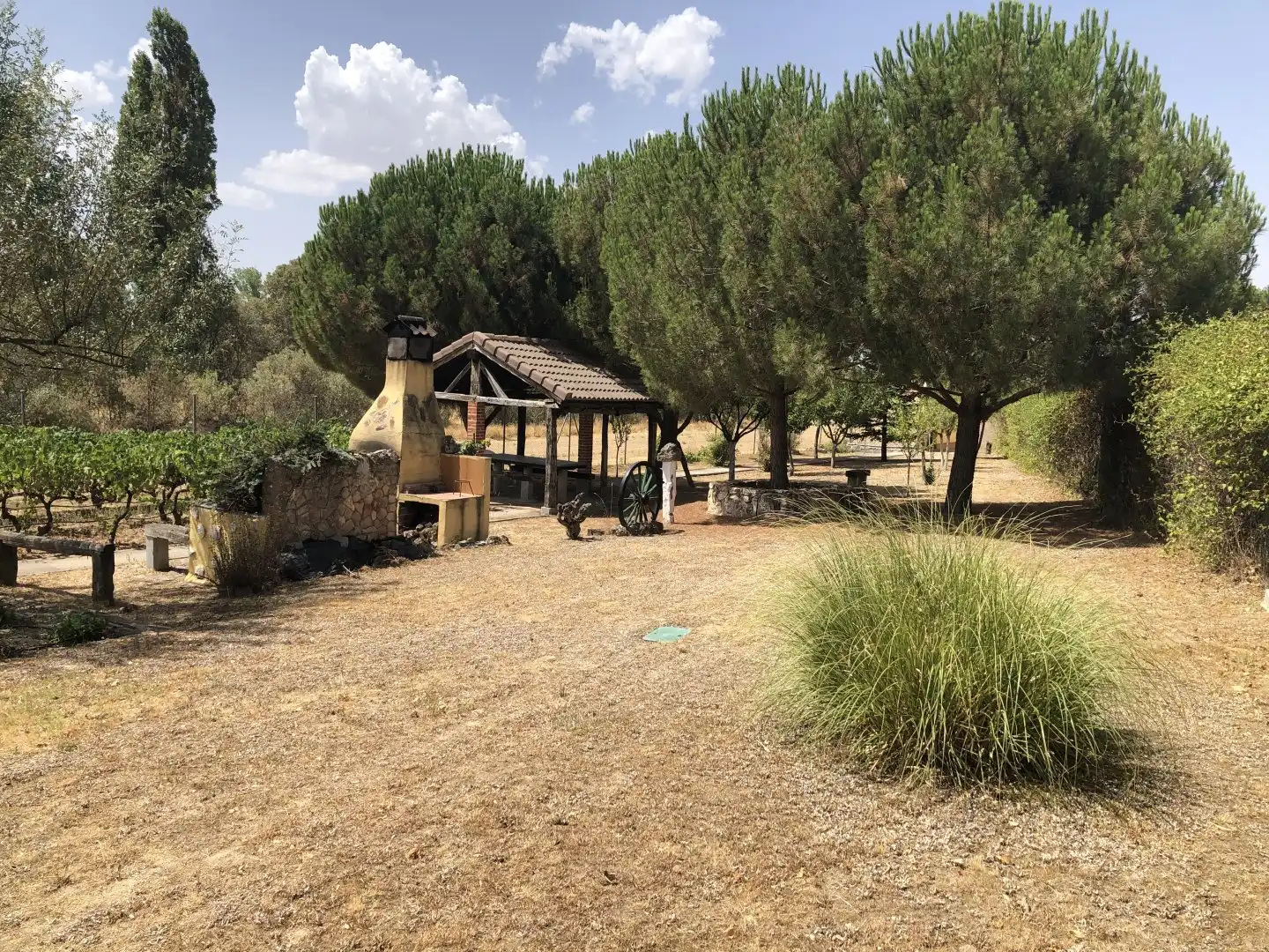 Finca rústica en venda a La Lastrilla