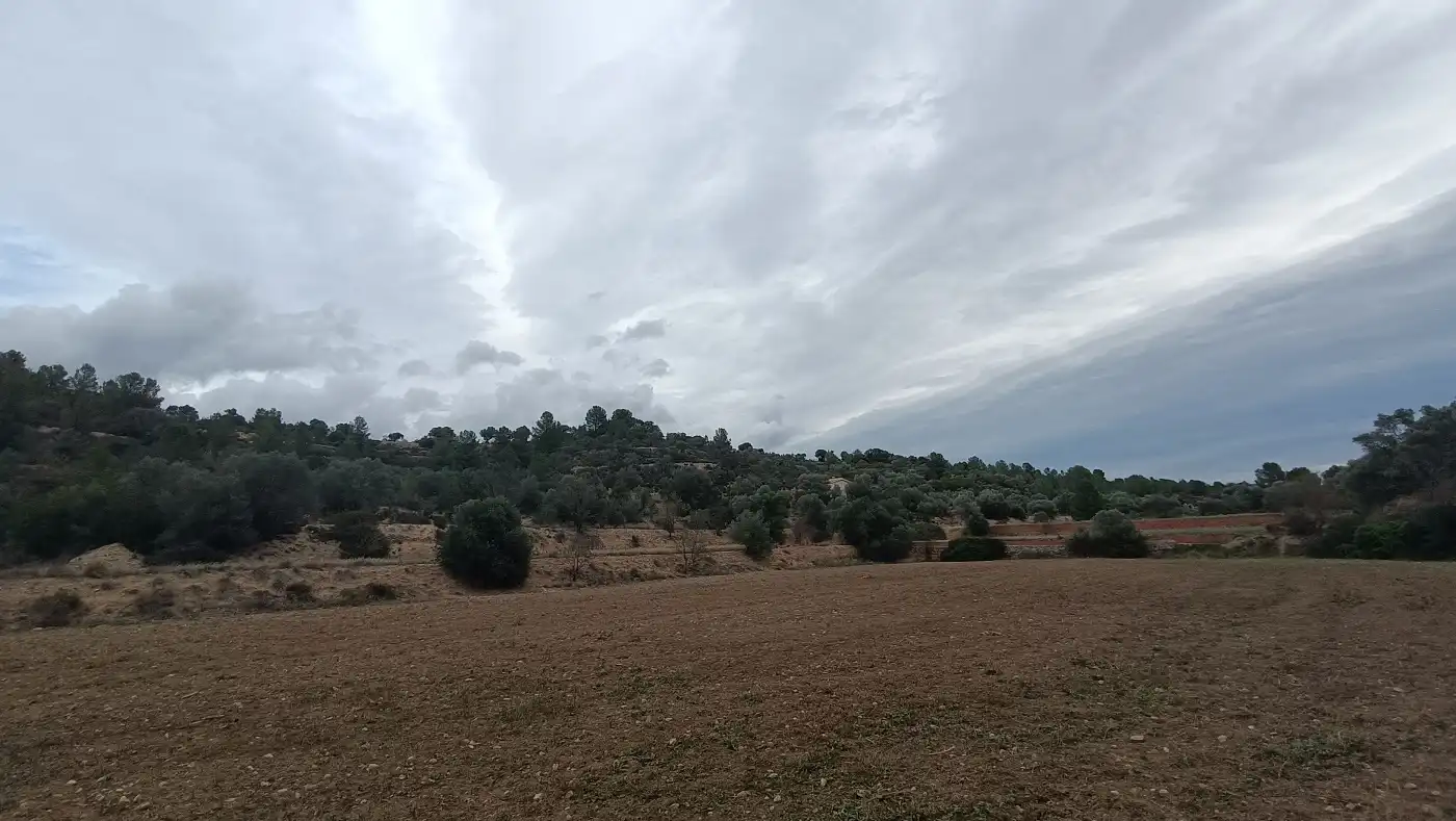 Terreno en venta en Móra la Nova