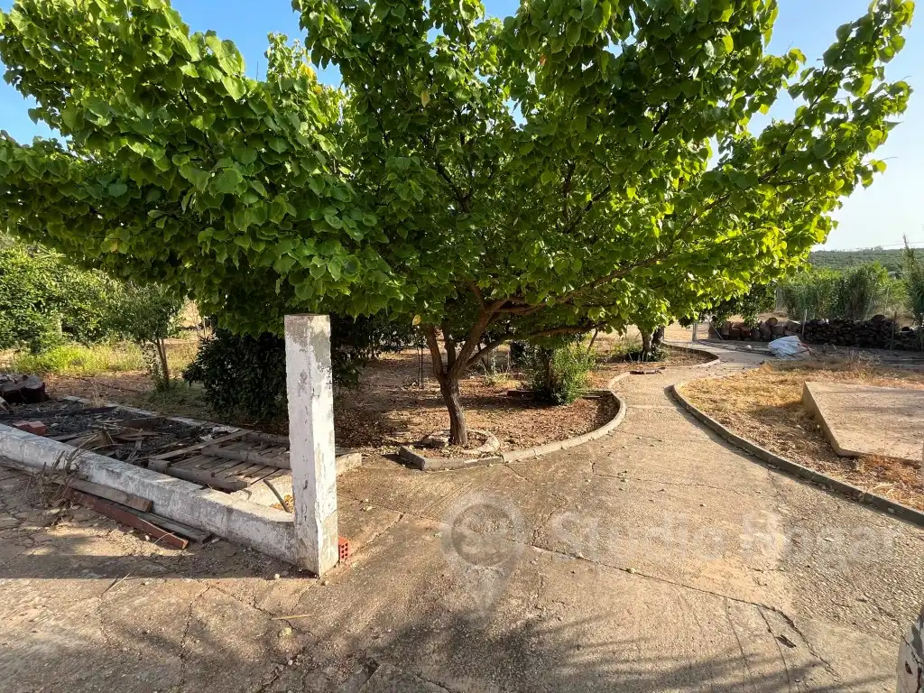 Villa in vendita a Diseminados Diseminados, imagen 27